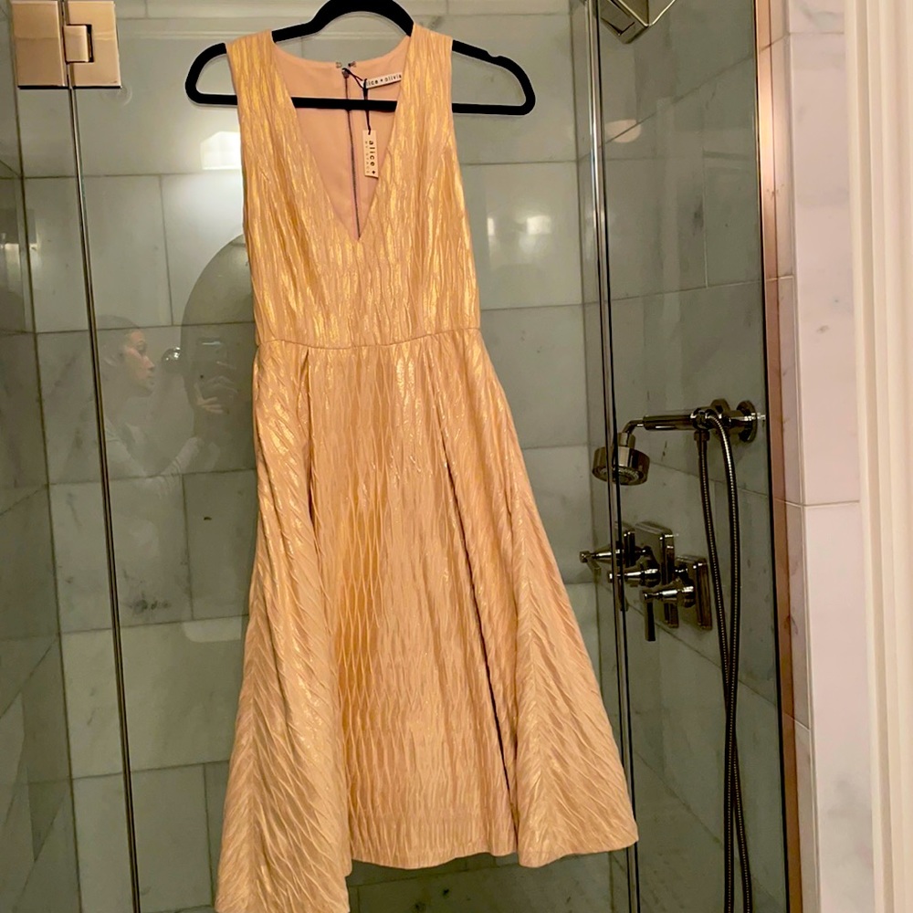 Alice and olivia dress size 0